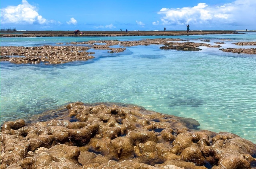 Prefeitura discute implantação do primeiro Parque Marinho em Maceió