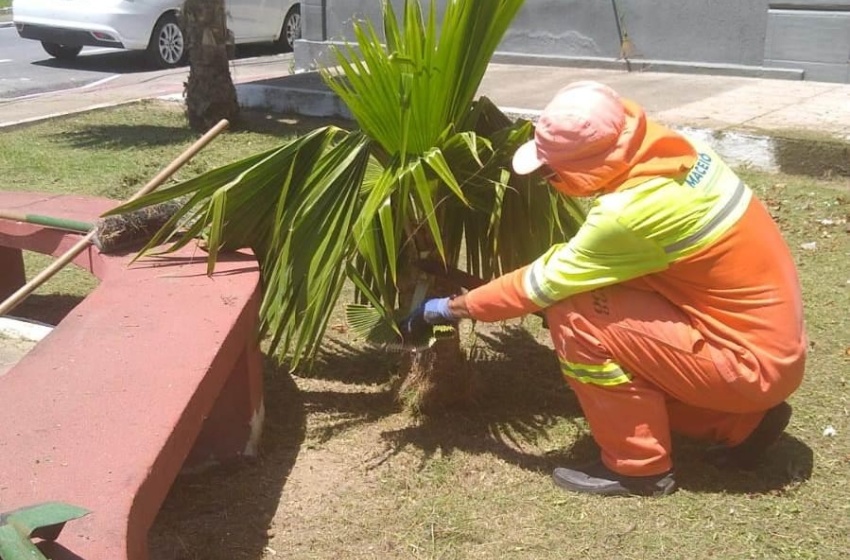 Praça do Rex recebe limpeza e conta com novas luminárias colocadas pela Prefeitura