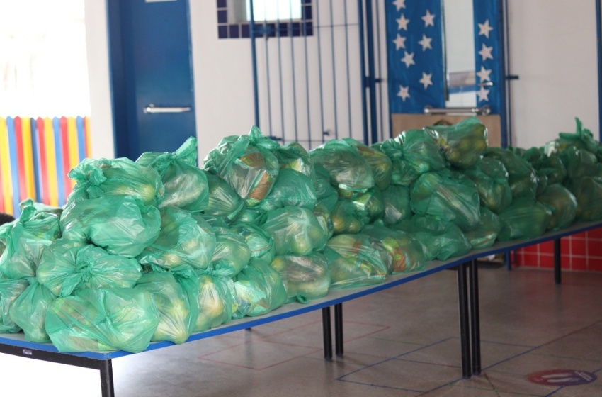 Educação entregou mais de 20 mil kits da agricultura familiar nesta quinta-feira (9)