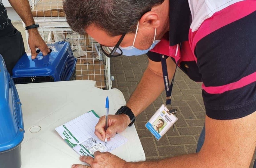 Feira proporciona adoção e vacinação antirrábica para animais em Maceió
