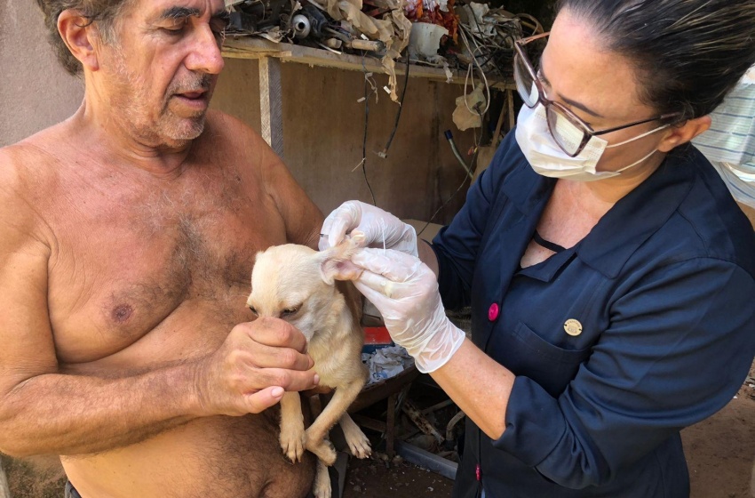 Gabinete da Causa Animal desenvolve apoio às ONGs e protetores independentes em Maceió