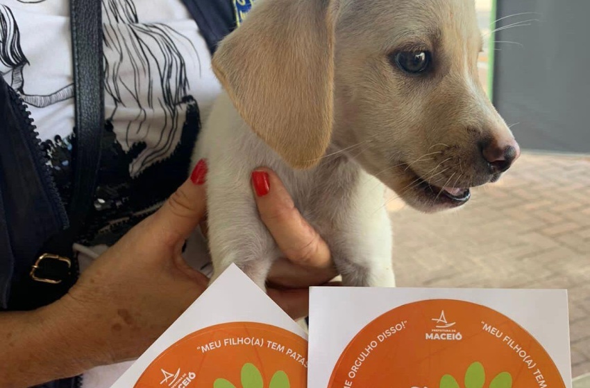 Gabinete da Causa Animal estimula acolhimento responsável de pets através das feiras de adoção