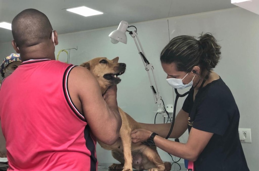 Castramóvel assiste 70 animais nos bairros Guaxuma e Garça Torta