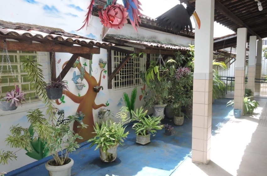 Escola municipal cria espaço verde para interagir com alunos e professores