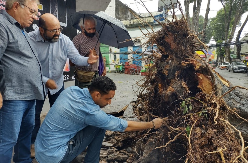 Desenvolvimento Sustentável realiza inspeção em árvores da Rua Augusta, no Centro de Maceió