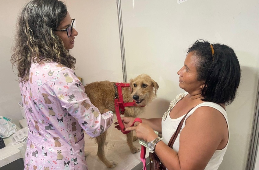Castramóvel da Prefeitura de Maceió realizou triagem de 264 animais dos moradores do Vergel do Lago