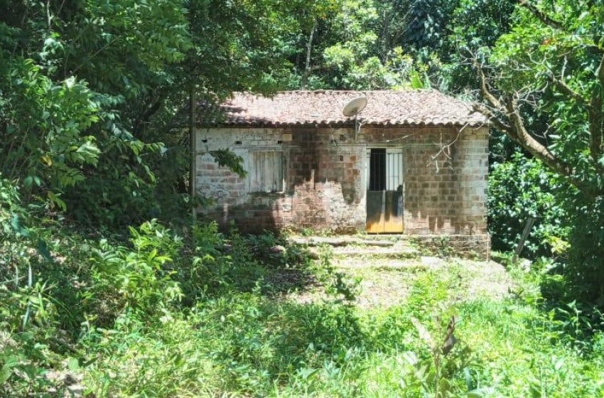 Convívio Social remove estrutura irregular construída em área verde no bairro Petrópolis