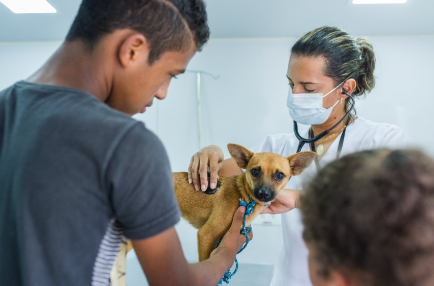 Castramóvel da Prefeitura de Maceió realizou 147 castrações de animais no Vergel do Lago