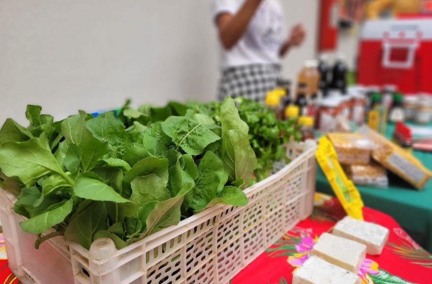 Saúde realiza Feira Agroecológica Sustentável e estimula alimentação sem agrotóxicos