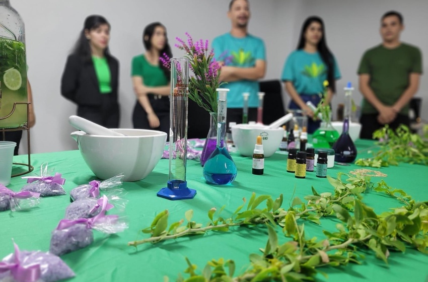 Servidores da SMS discutem sobre aromaterapia na promoção da saúde