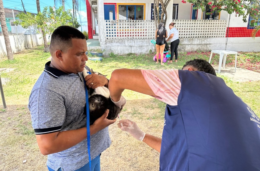 Primeiro dia da Campanha de Vacinação Antirrábica imuniza mais de oito mil animais