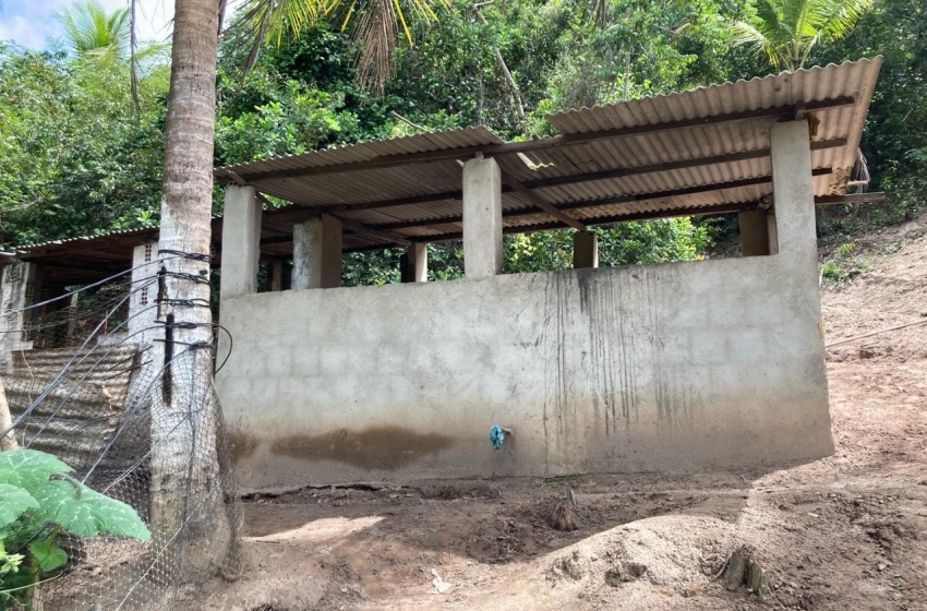 Vigilância Sanitária notifica pocilga clandestina no bairro de Riacho Doce