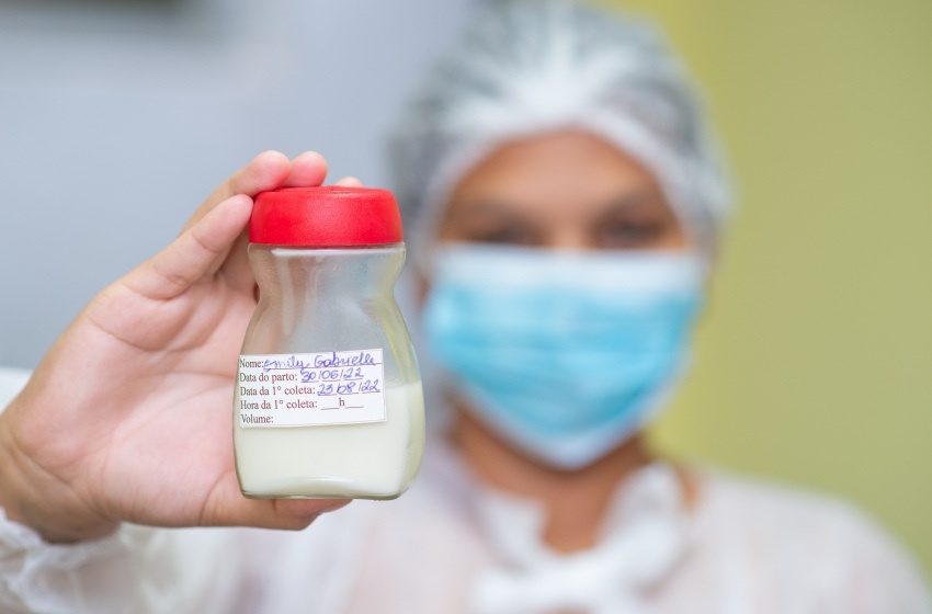 Saúde coleta mais de 500 litros de leite humano para bebês prematuros