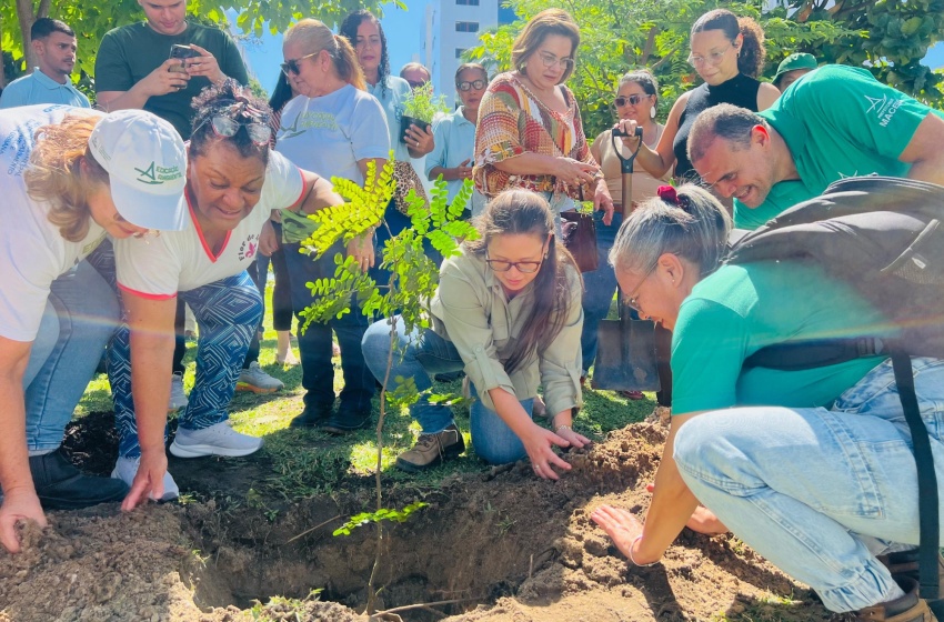 Diretora-executiva da Alurb celebra aniversário com plantio de três árvores na Praça do Skate em Maceió