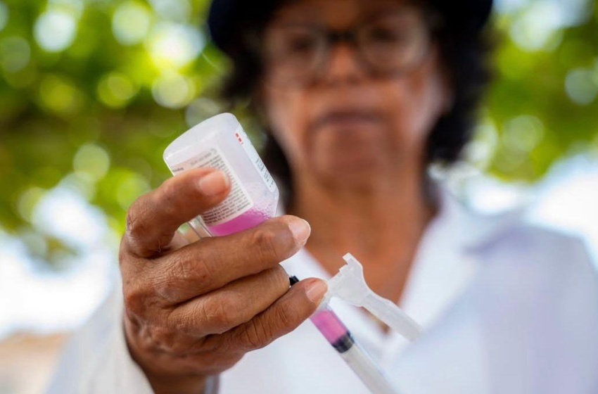 Saúde orienta população sobre como proceder após ataque de animais que transmitem raiva