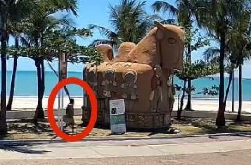 Segurança Cidadã divulga imagens do suspeito de atear fogo na escultura “O Boi”, no Jaraguá