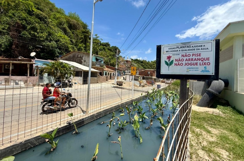 Renasce Salgadinho promove transformação social em Maceió: “Mudança saiu do papel”