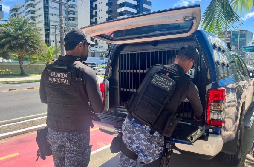 Guarda Municipal prende acusado de série de arrombamentos a veículos em Maceió