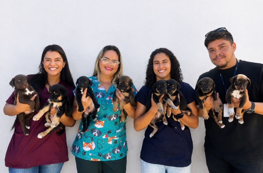 Sebema participa da Arena Pet 2026 com palestras educativas e feira de adoção