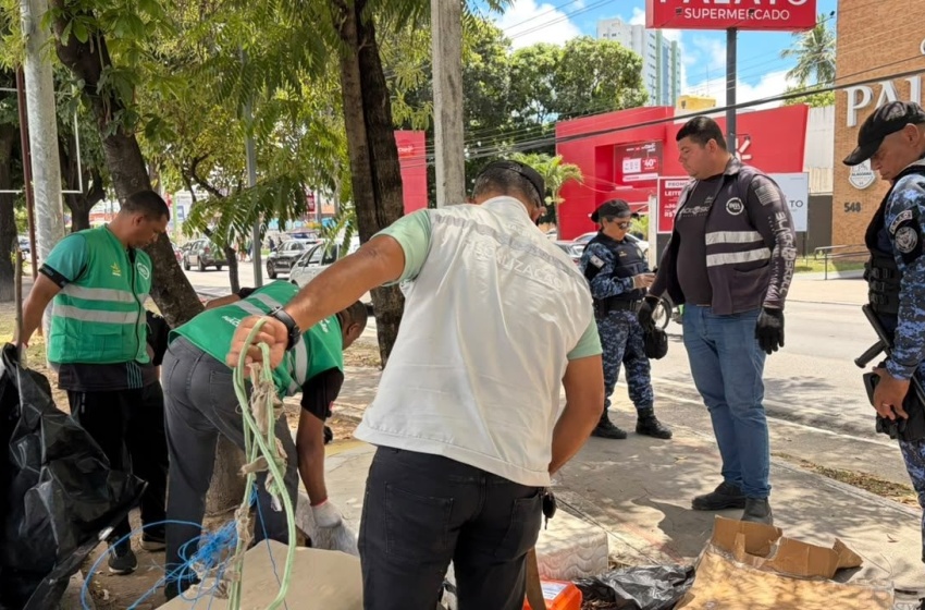 Segurança Cidadã remove construções irregulares no Farol e Mangabeiras