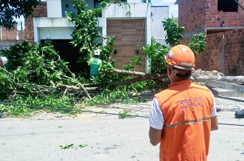 Defesa Civil de Maceió registra três ocorrências após ventos fortes no fim de semana