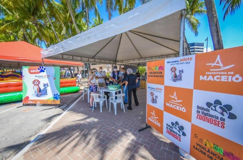 Prefeitura promove feira de adoção em busca de tutores para cães e gatos de ONGs