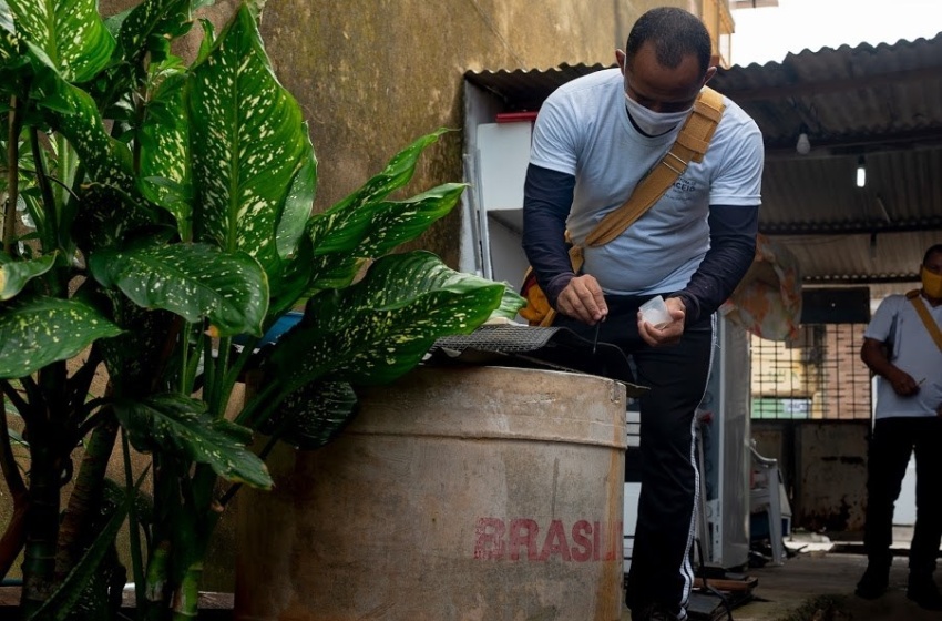 Saúde reforça alerta contra proliferação de focos de dengue no período chuvoso