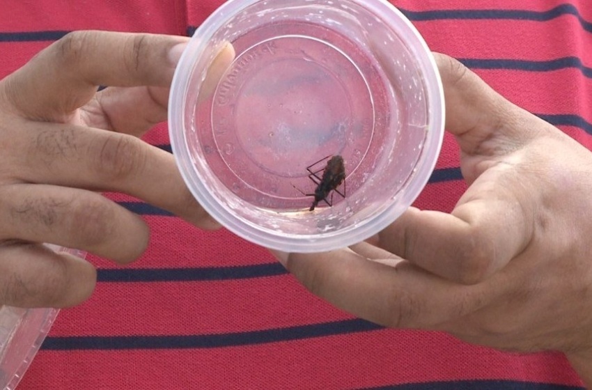 Barbeiros encontrados devem ser encaminhados a postos de informação em Maceió