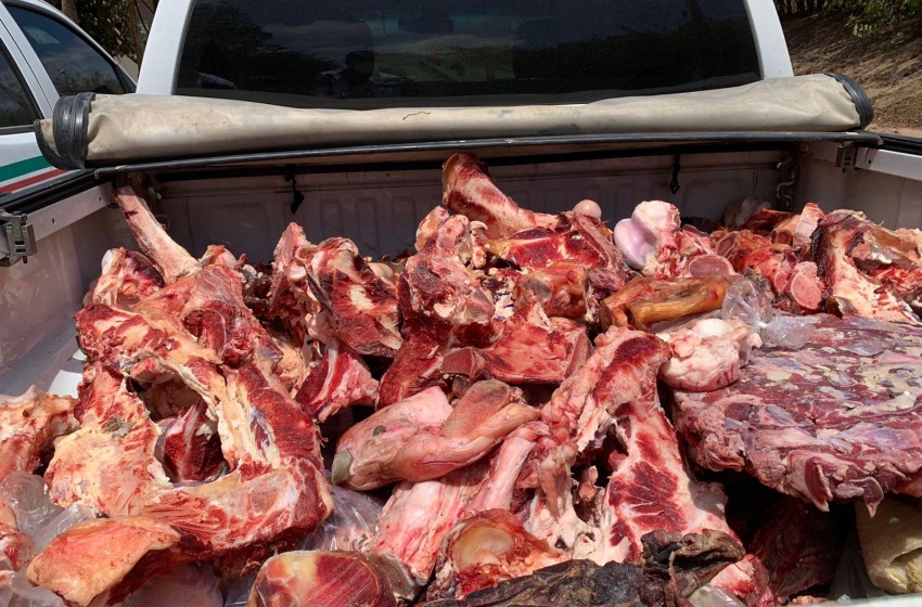 Vigilância apreende mais 1.600 kg de alimentos impróprios para consumo humano