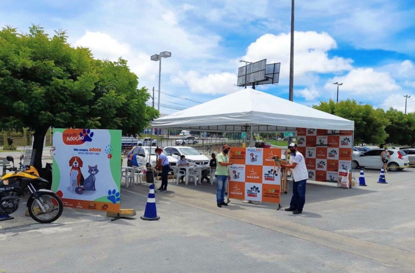 Primeira Feira de Adoção do ano garante novo lar para cães e gatos em Maceió