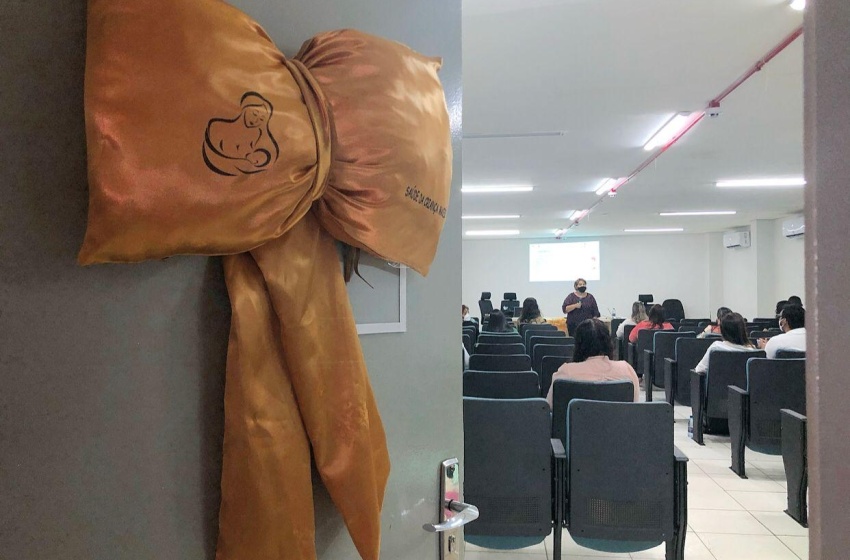 Saúde capacita técnicos em segurança alimentar para manuseio do leite humano