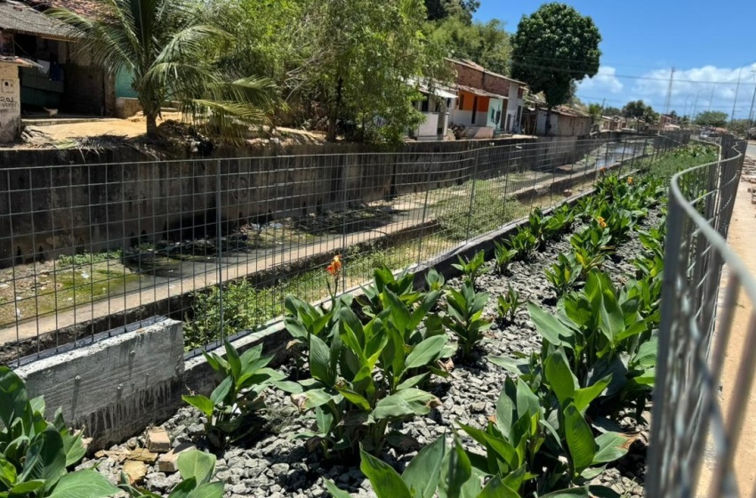 Vice-prefeito e titular da Seminfra destaca importância dos jardins filtrantes para o Renasce Salgadinho