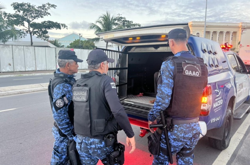 Guarda Civil Municipal prende suspeito de furto de cabos de iluminação no Jaraguá