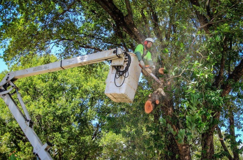 População é aliada do município para manter a cidade limpa e organizada