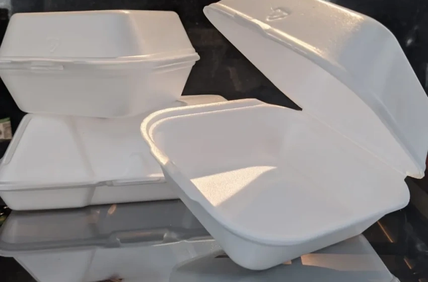 Isopor é reciclável? Alurb orienta a respeito do descarte correto deste material