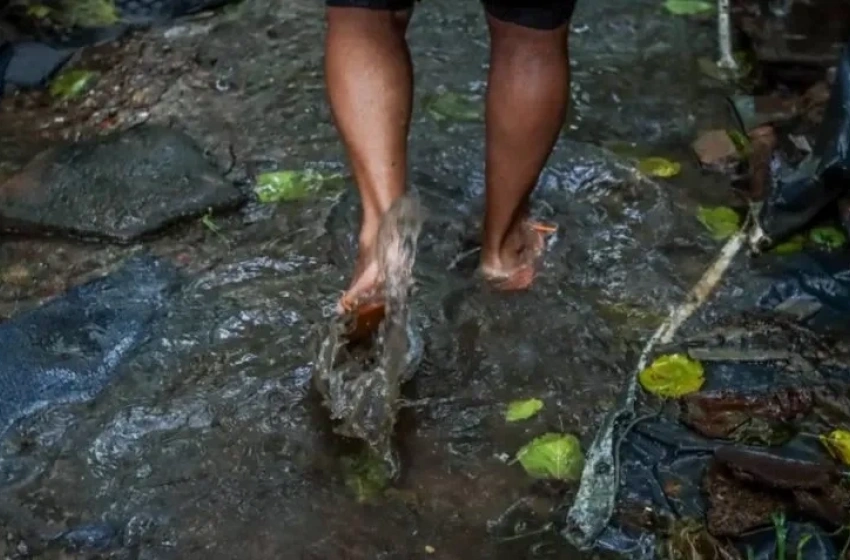 Saúde orienta população de Maceió sobre leptospirose no período chuvoso