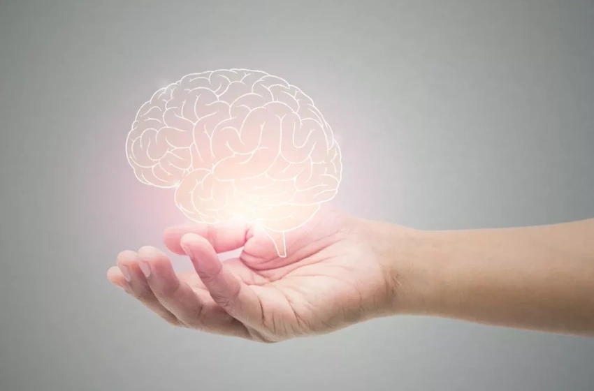 Cerest Maceió participa de encontro nacional sobre Saúde Mental e Trabalho