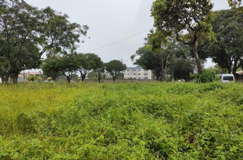 Terreno abandonado: população pode denunciar e proprietários sofrerem punição