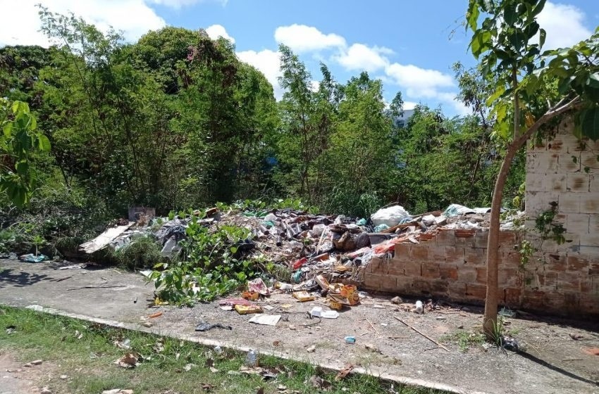 População pode denunciar abandonos de terrenos e proprietários podem ser punidos