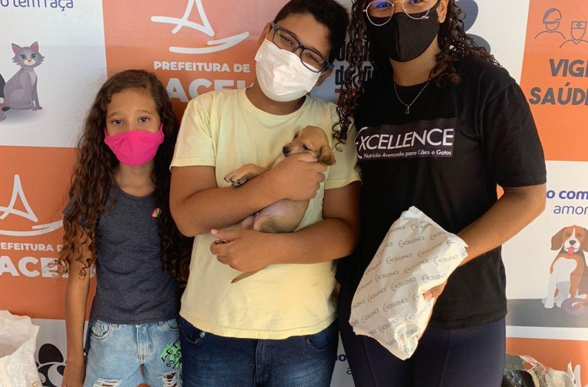 Zoonoses realiza última Feira de Adoção de 2021 no domingo (19)
