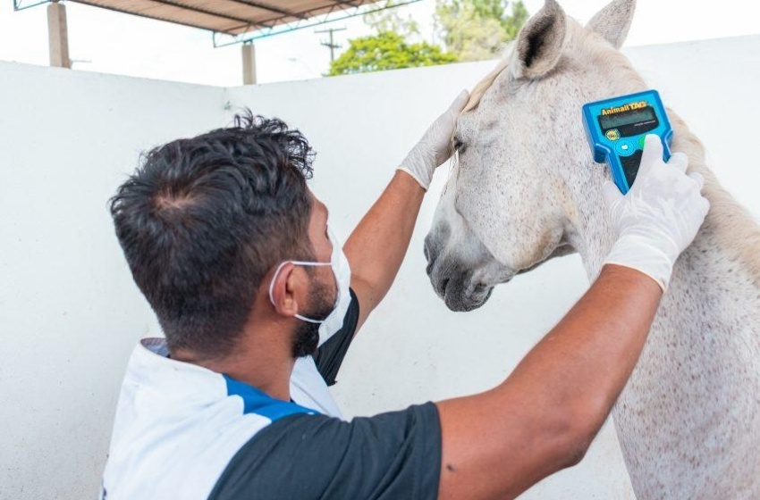 Centro de Zoonoses atua na prevenção de doenças transmitidas por animais