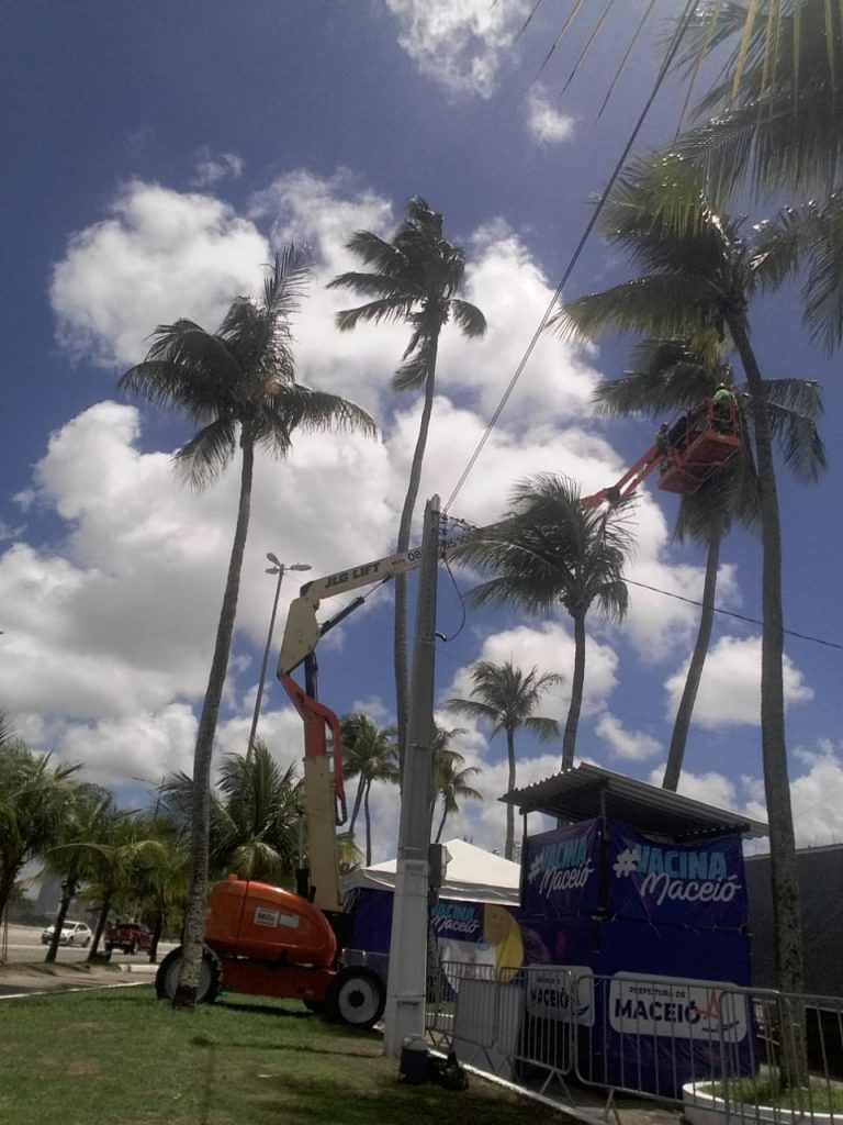 Prefeitura intensifica o serviço de poda de árvores para evita acidentes. Foto: Ascom Sudes