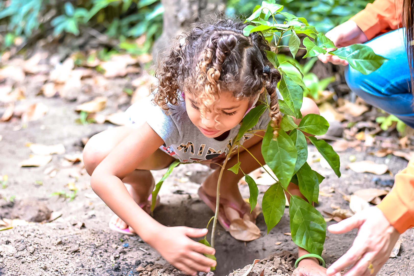 Crianças tem contato direto com a natureza, além de aprender sobre o assunto. Foto: Ascom Sudes